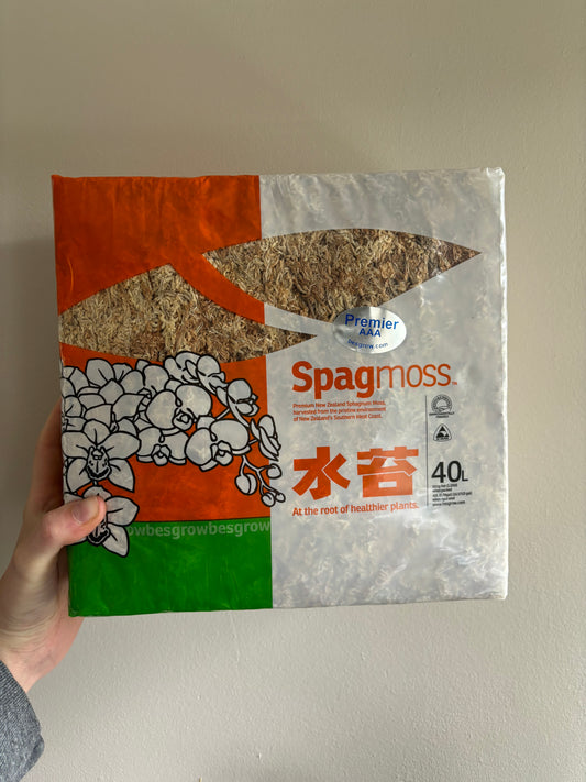 500 gram 40L Besgrow spagmoss sphagnum moss premier AAA quality