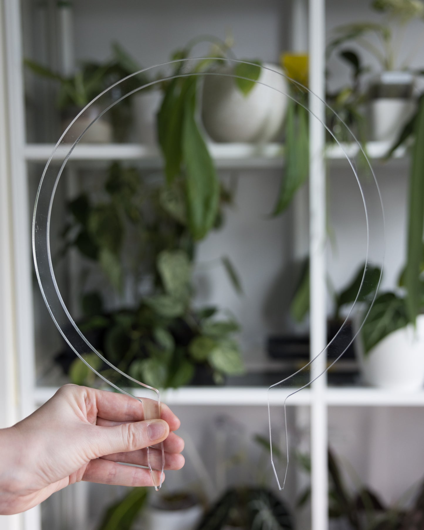 Clear acrylic round trellis size large, front side.