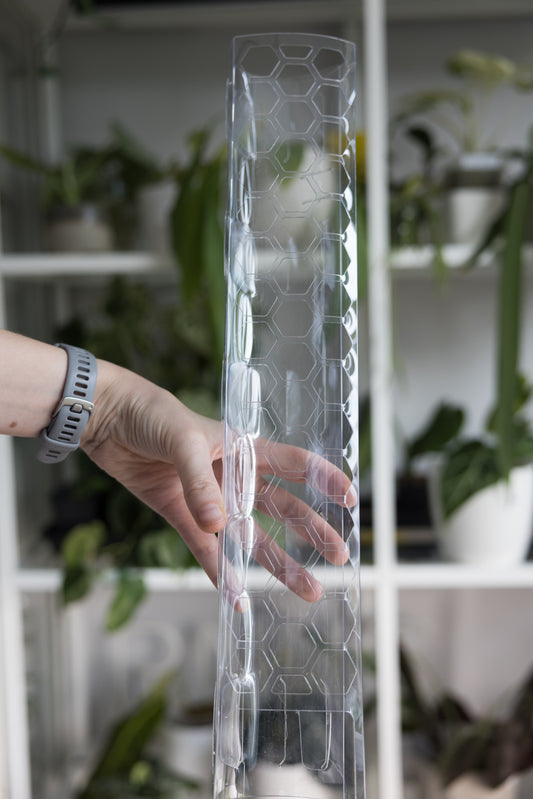 Clear "honey" moss poles - PLANTS WITH BENEFITS