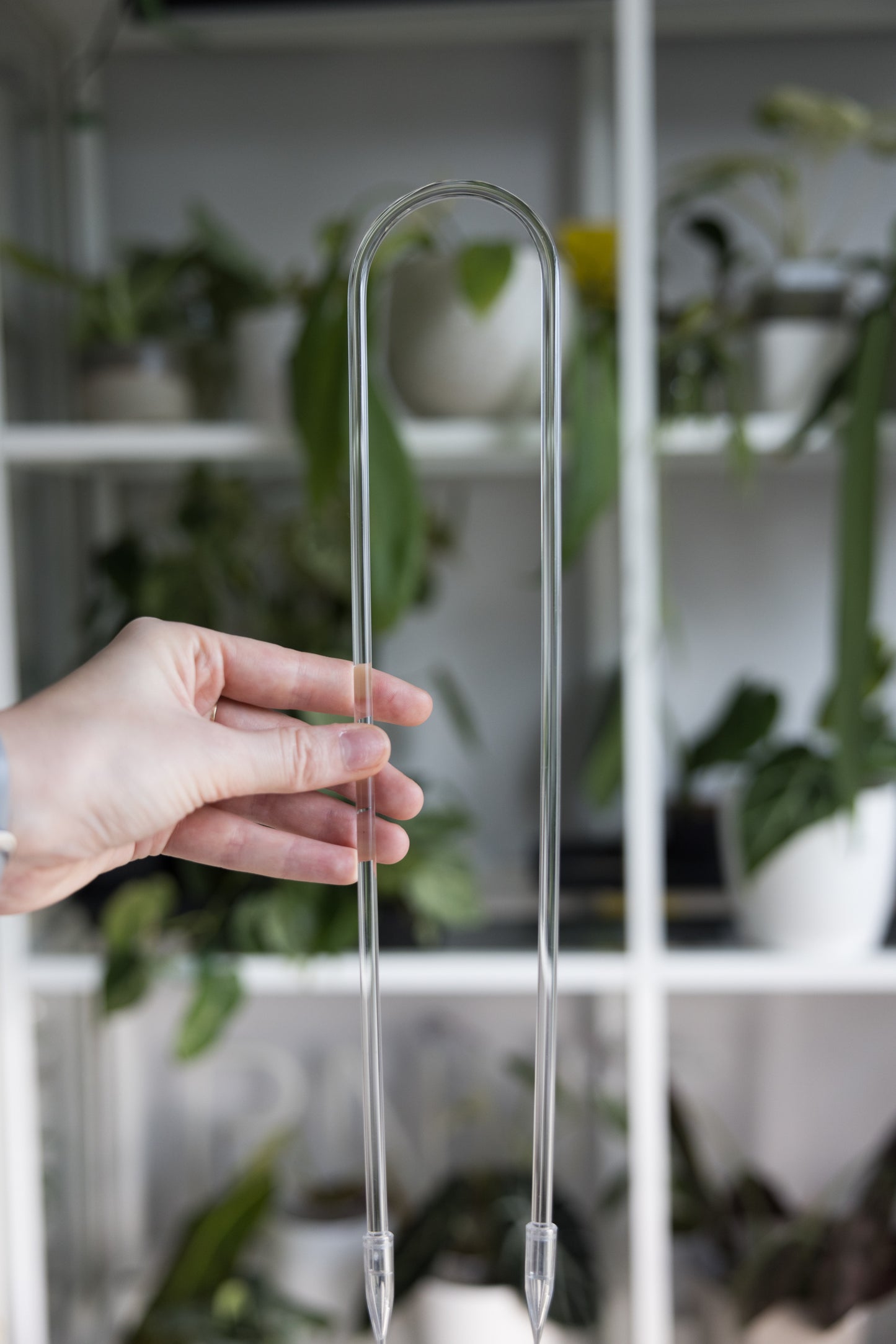 Acrylic transparent U-shaped trellis size small