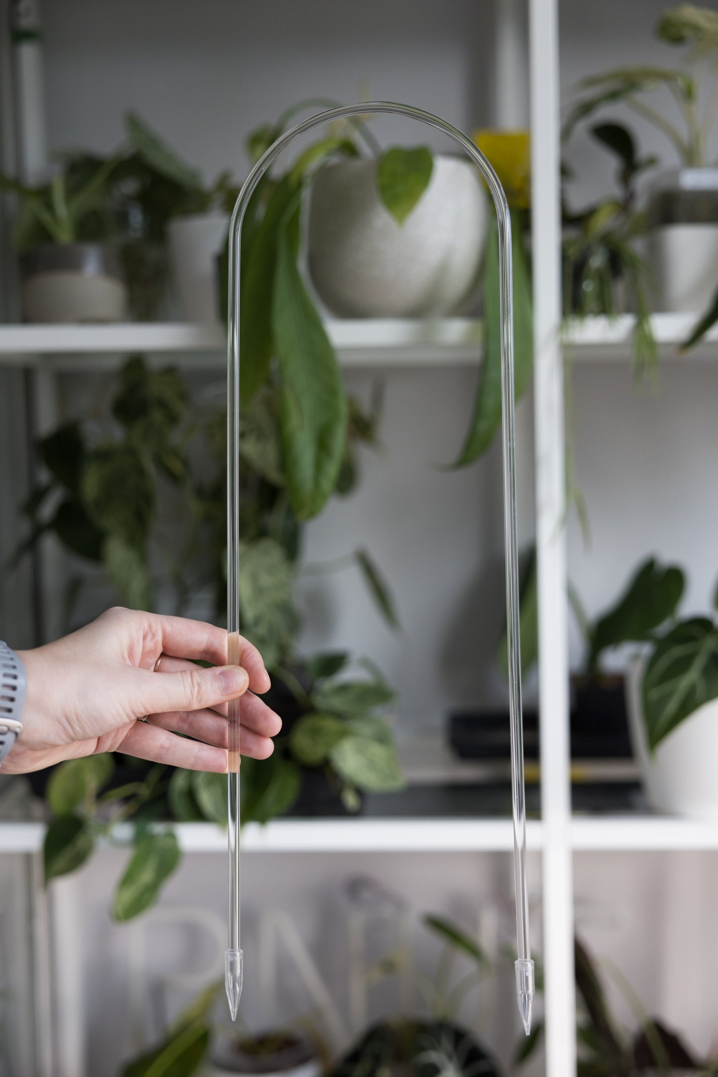 Acrylic transparent U-shaped trellis size large