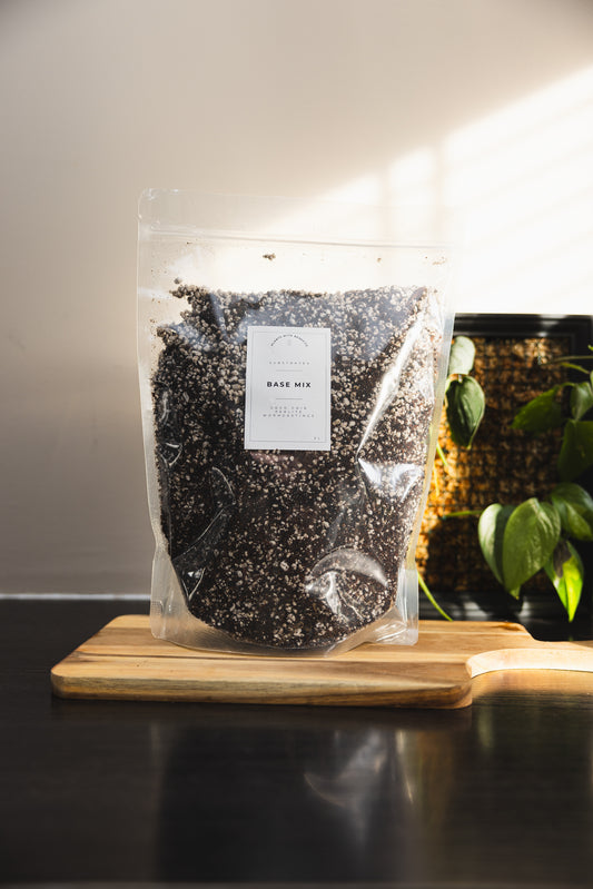 Starters box - PLANTS WITH BENEFITS