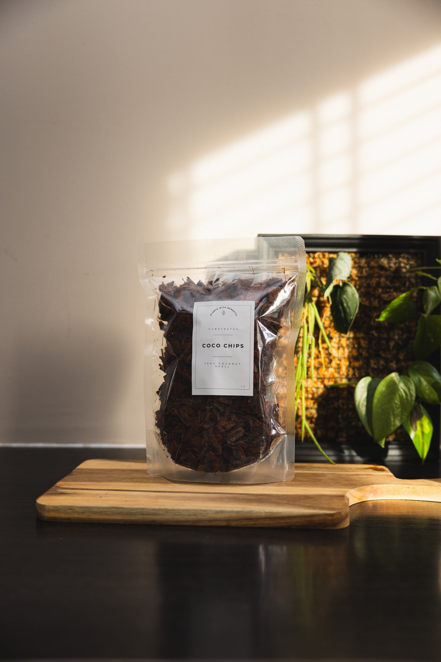 Starters box - PLANTS WITH BENEFITS