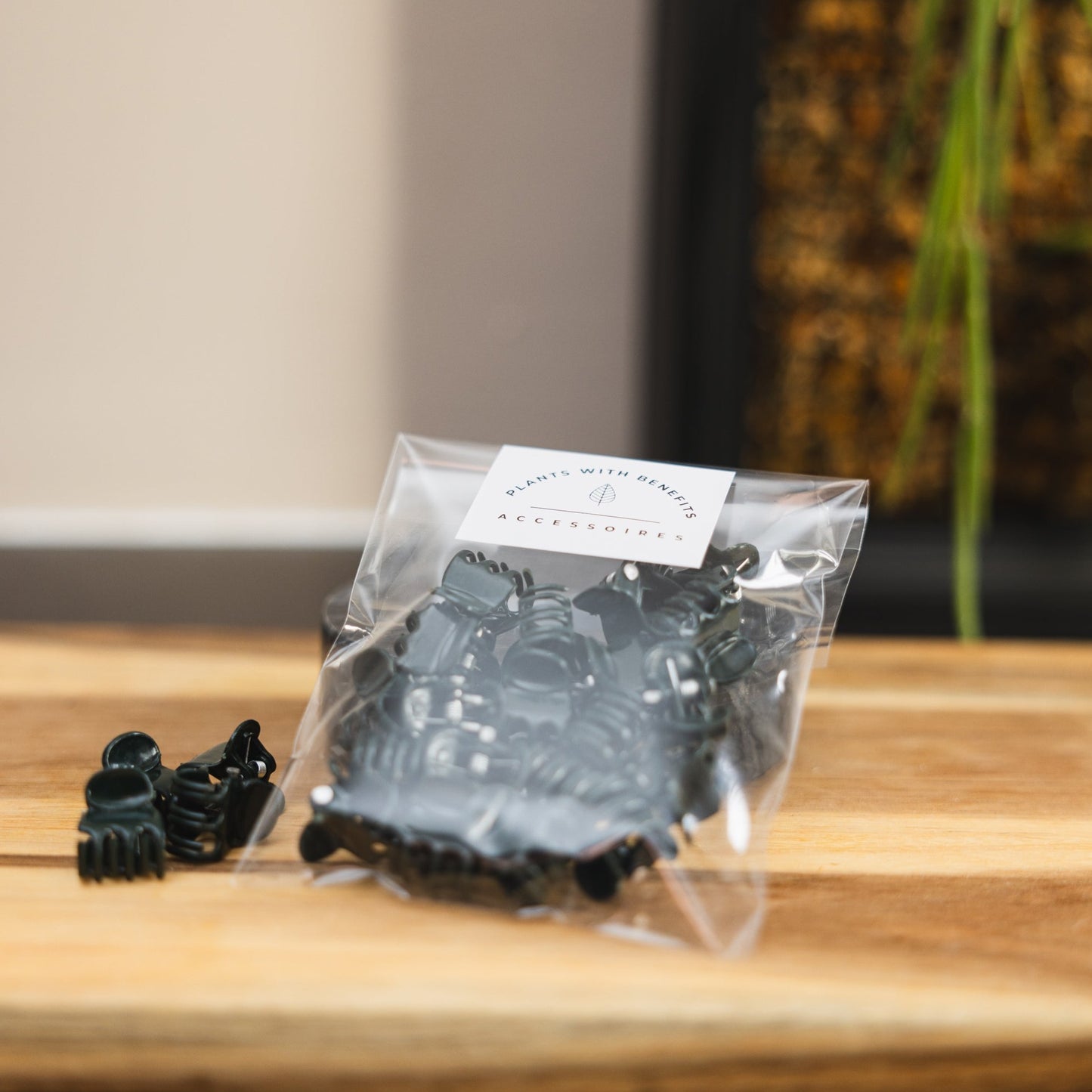 Starters box - PLANTS WITH BENEFITS