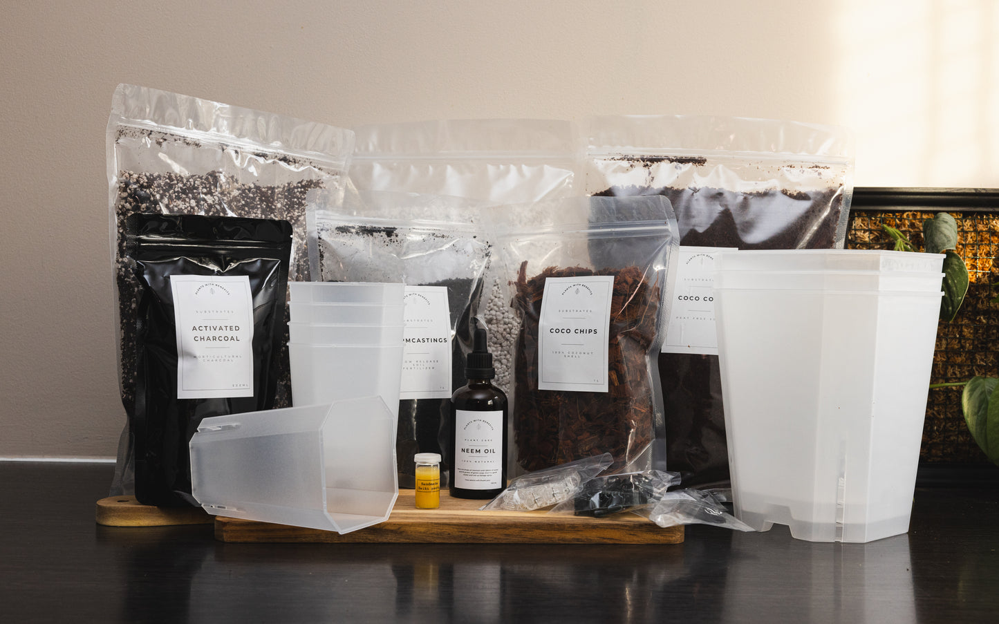 Starters box - PLANTS WITH BENEFITS
