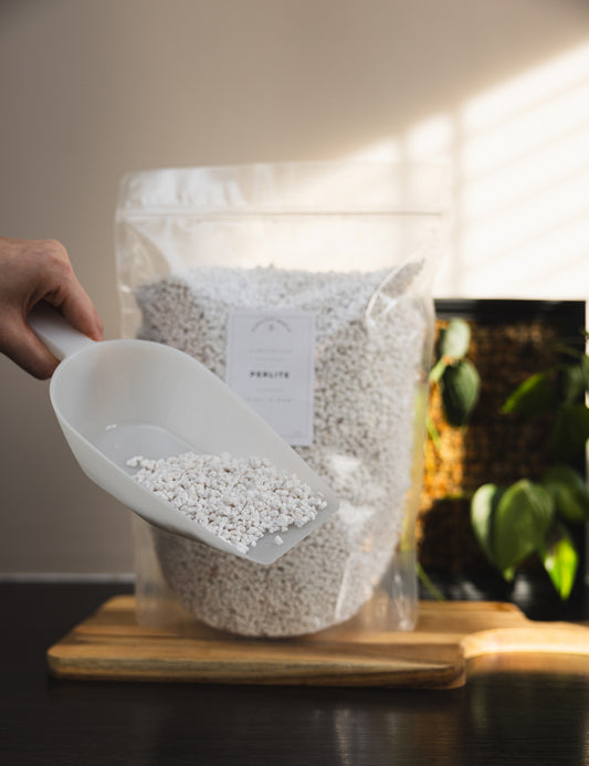 Perlite - PLANTS WITH BENEFITS