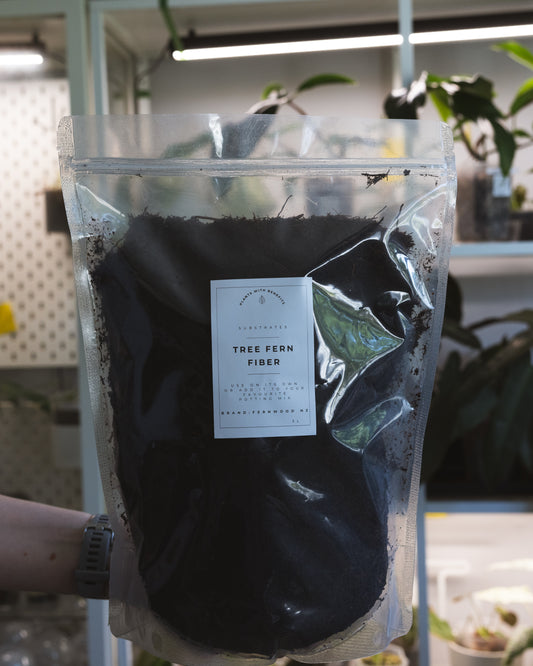 Tree fern fiber 3L front side