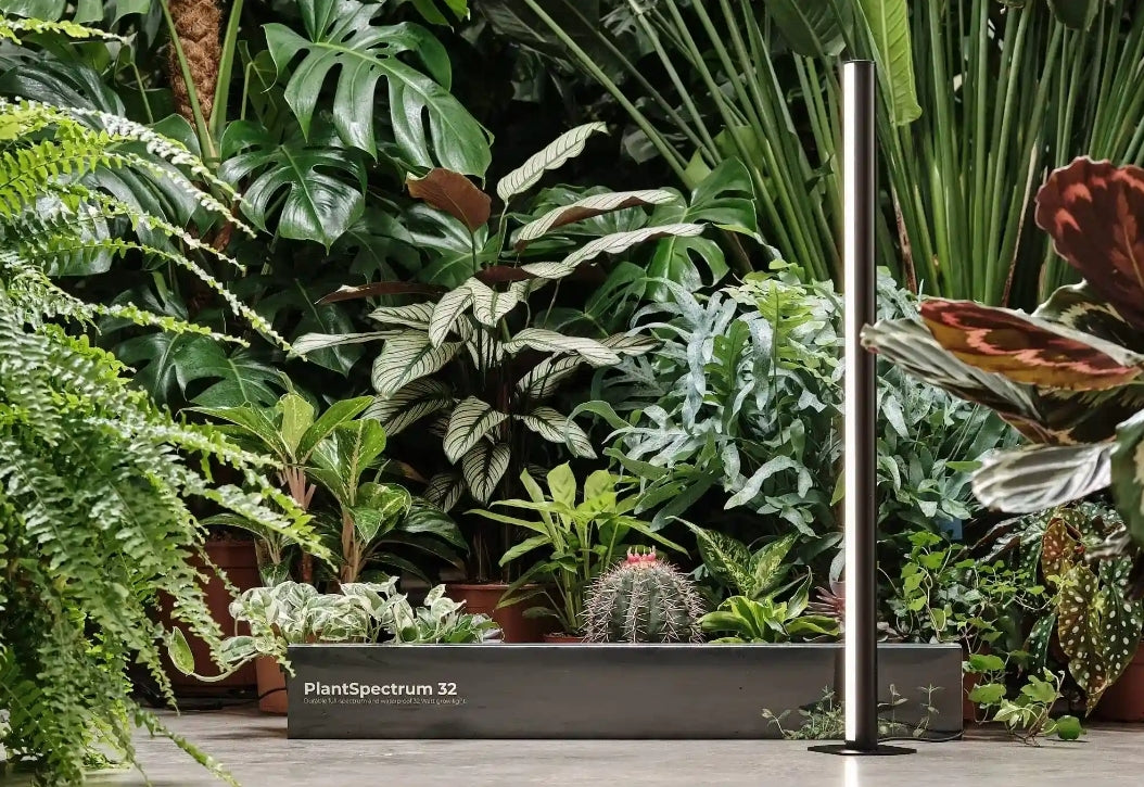 Mother Life PlantSpectrum Growlight - PLANTS WITH BENEFITS