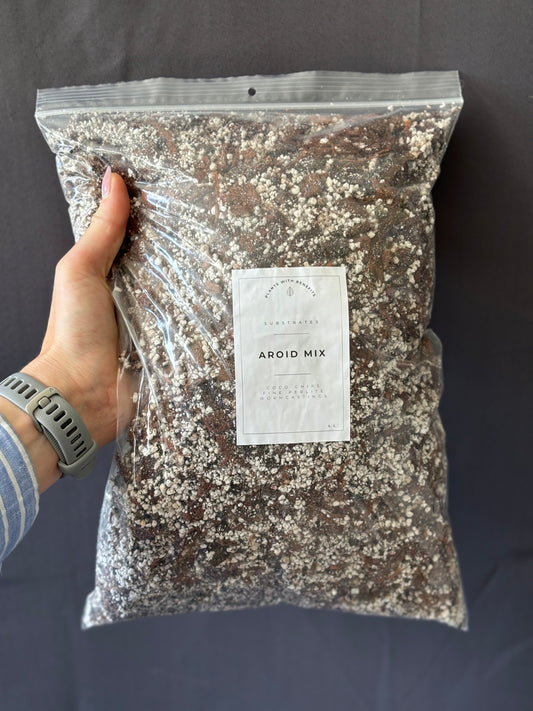 Aroid mix - fine - PLANTS WITH BENEFITS